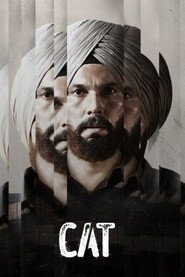 Assistir Infiltrados nas Gangues online grátis