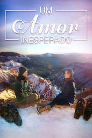 Assistir Um Amor Inesperado online grátis