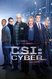 Capa da série CSI: Cyber, temporada 2, episódio 2