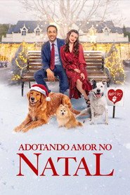 Assistir Adotando Amor no Natal online grátis