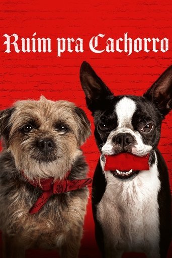 Assistir Ruim pra Cachorro (2023) online grátis em HD